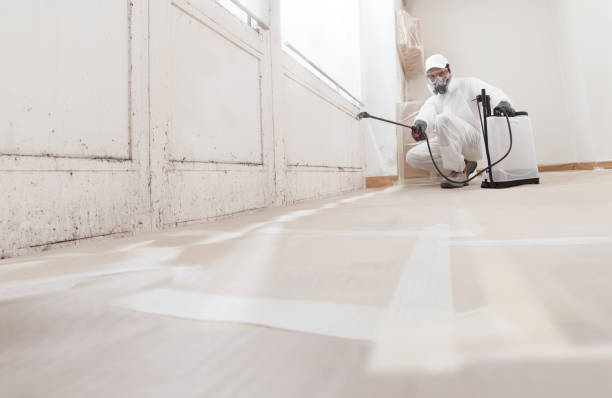 24/7 Emergency Black Mold Remediation experts in College Park, GA
