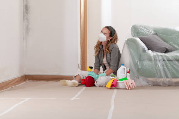 Reliable Black Mold Remediation contractor in College Park, GA by 24 Hour Mold Removal